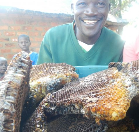 A man wearing a green shirt smiles for the camera behind a large honeycomb.